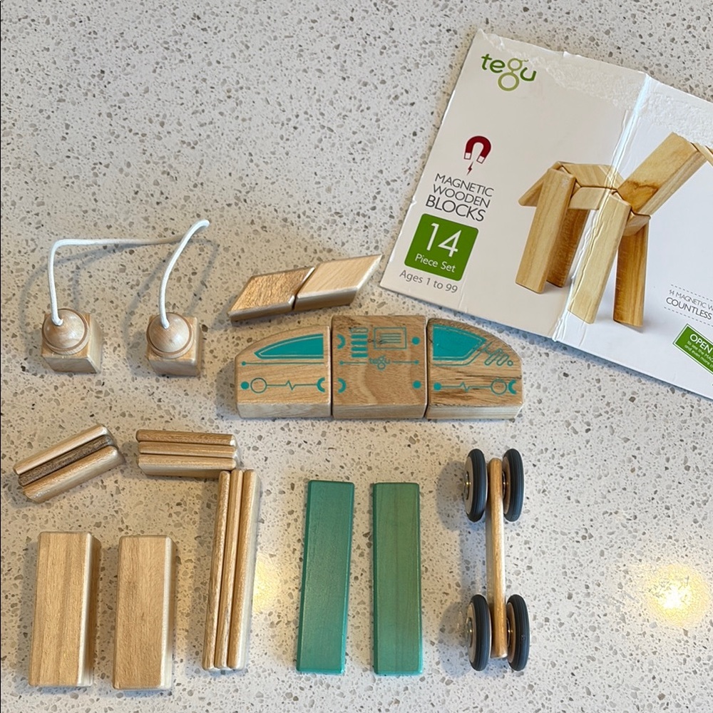 Tegu blocks set